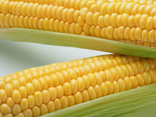 とうもろこし