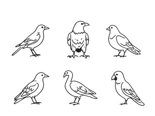 bird minimal vector drawing