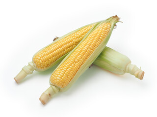 とうもろこし