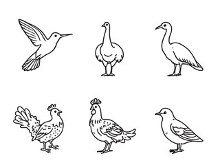 bird hand drawn line illustration