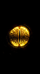 A Golden Reptilian Eye Piercing the Darkness with Intense Focus