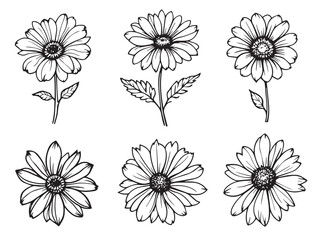 black-eyed susan flower line art