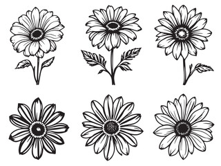 black-eyed susan hand drawn design