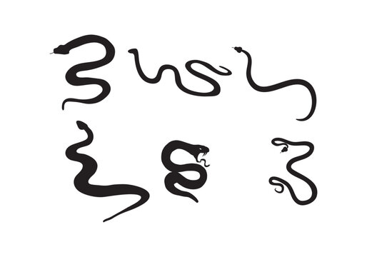  set of snakes silhouette. Snake wrapped around the crescent moon. Boho modern hand drawn design elements for logo design