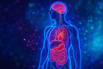 AI generated ultra detailed neon glowing human body with transparent anatomy showing brain heart lungs liver and intestines in a futuristic digital background