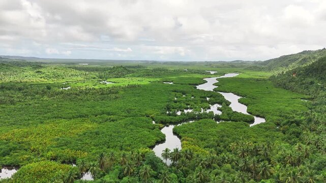 Drone pans across the lush green expanse of Mataob Maasin Mangrove in Siargao Islands, Philippines, capturing winding rivers, dense tropical growth, and coastal wetland terrain under cloudy skies.