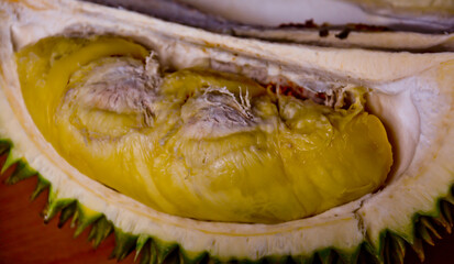 close-up view of Montong durian fruit, Medan, North Sumatra