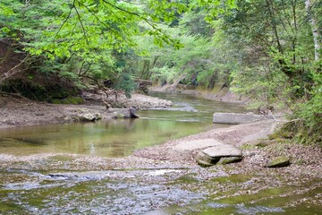 Morning scenery of the Yoro River and fresh greenery
