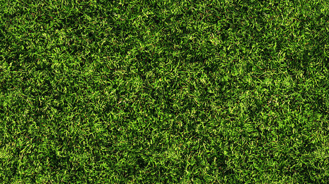 Seamless green turf texture with fine grass detail and slight shadowing, designed for overlays or digital backgrounds, transparent backdrop 