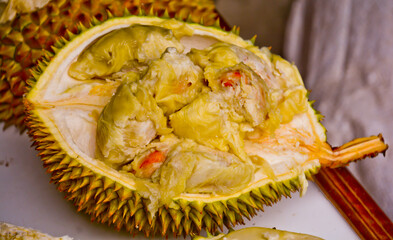 close-up view of Montong durian fruit, Medan, North Sumatra