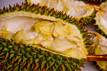 close-up view of Montong durian fruit, Medan, North Sumatra