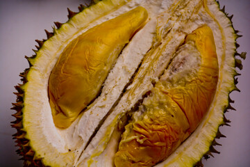 close-up view of Montong durian fruit, Medan, North Sumatra