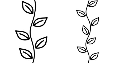 Simple Black and White Vines with Leaves Illustration
