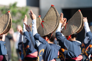 阿波踊り