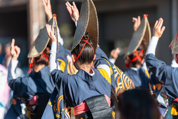 阿波踊り