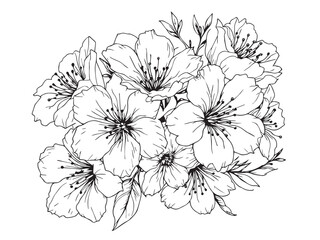 Obraz premium cherry blossom floral line art