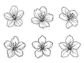 cherry blossom contour art