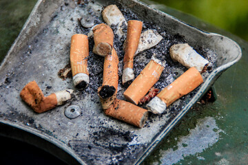 Cigarette Butts in an Ashtray
