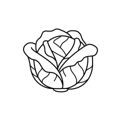 Obraz premium Outline of a cabbage in a simple vector style 