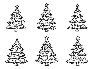 christmas fir tree botanical art