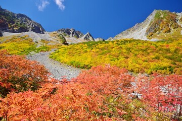 涸沢カールの紅葉と穂高連峰