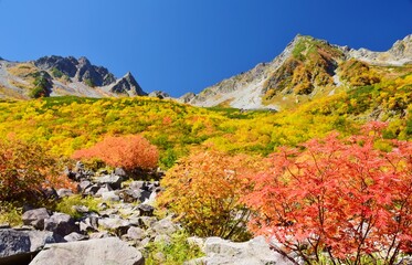 涸沢カールの紅葉と穂高連峰