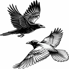 Flying Ravens or Crows - Detailed Black and White Line Art Illustration