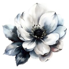 white flower on white background watercolor painting effects
