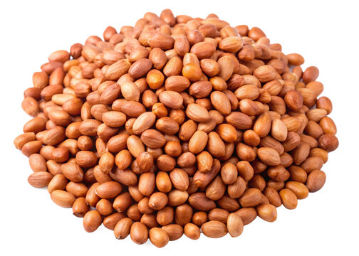 Bambara groundnut  seeds isolated on white background

