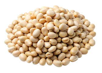 Fototapeta premium Faba bean seeds isolated on white background