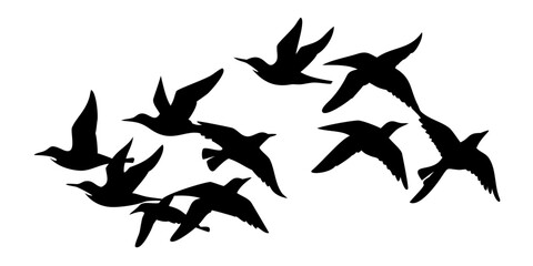 Obraz premium Group of Small Birds Flying Silhouette - Dynamic Avian Pattern