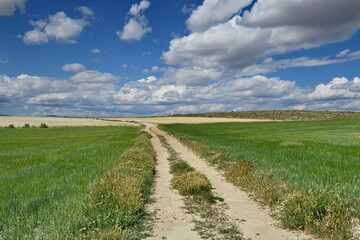 Petit chemin de terre dans la campagne avec ciel bleu légèrement nuageux.