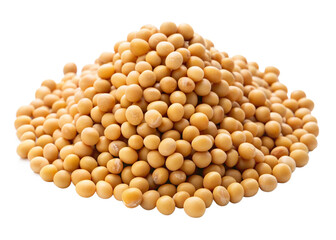 Soybean  seeds isolated on white background