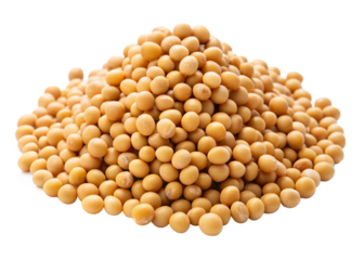 Soybean  seeds isolated on white background