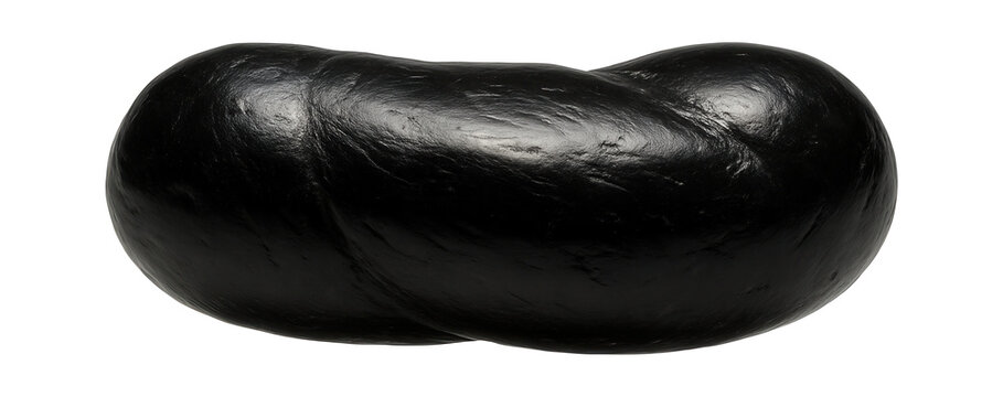 Cylindrical coprolite with a glossy black finish and slight curvature