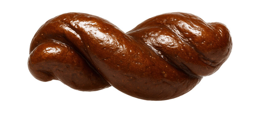 Twisted coprolite with a glossy, deep amber color and intricate surface details