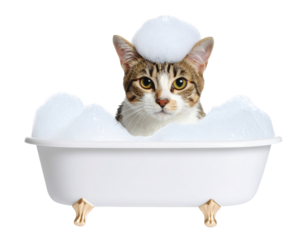 A tabby cat sits in a small white clawfoot bathtub filled with bubbles, with a foam cap on its head.