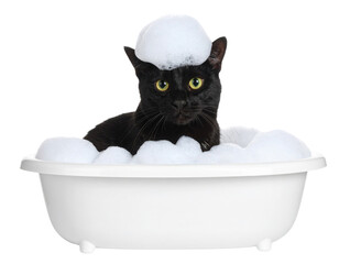 A black cat with yellow eyes sits in a white tub filled with soap bubbles, with bubbles resting on its head and around its body.