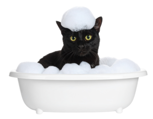 A black cat with yellow eyes sits in a white tub filled with soap bubbles, with bubbles resting on its head and around its body.
