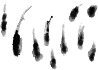 Japanese Ink Brush Strokes 01｜墨のストローク素材セット