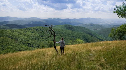 A solitary man gazes into the distance, holding a bare tree branch, with a dramatic backdrop of...