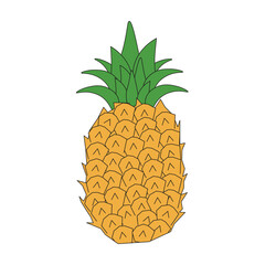 Obraz premium Sketch pineapple. Vector illustration of simple pineapple isolated transparent background. Perfect Summer fruit graphic element. Ideal fabric textile decor object. EPS 10