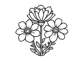 desert rose vector line art