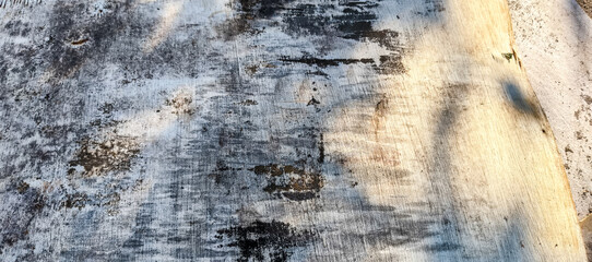 Obraz premium wood texture background