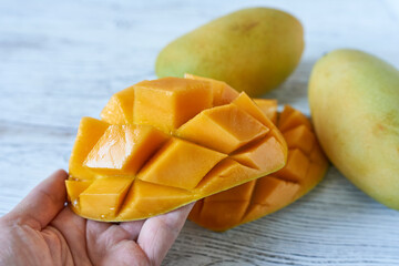 Fresh mango fruits in a female hand on a white wooden background. Close-up, selective focus.