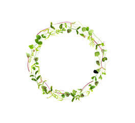Circular frame made of microgreens forming a decorative border