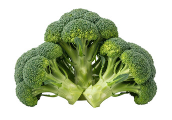 Close up of fresh green broccoli florets and thick stems vegetable food