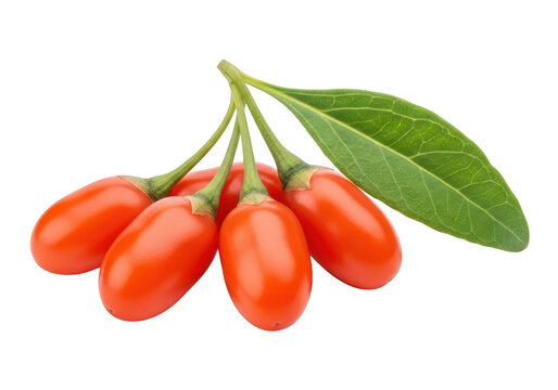 Close up studio shot of ripe red goji berries with green leaf berry orange - Powered by Adobe