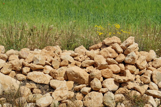 Tas de pierre devant un champ de bl&eacute;.