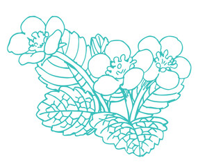 いちごの花のスケッチ素材。ベクターイラスト素材。